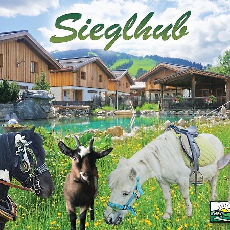 Sieglhub Chalets - Appartements - Hotel Flachau Zewnętrze zdjęcie