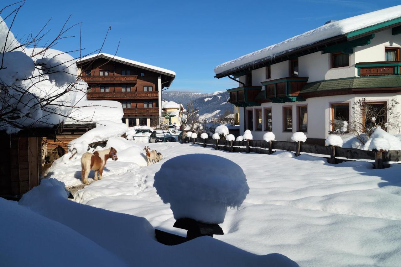Sieglhub Chalets - Appartements - Hotel Flachau Zewnętrze zdjęcie