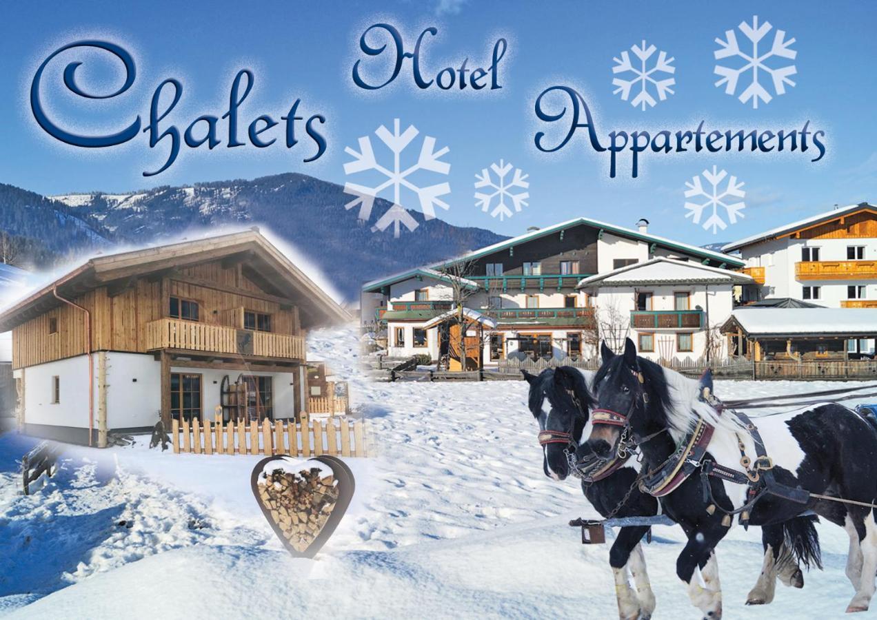 Sieglhub Chalets - Appartements - Hotel Flachau Zewnętrze zdjęcie