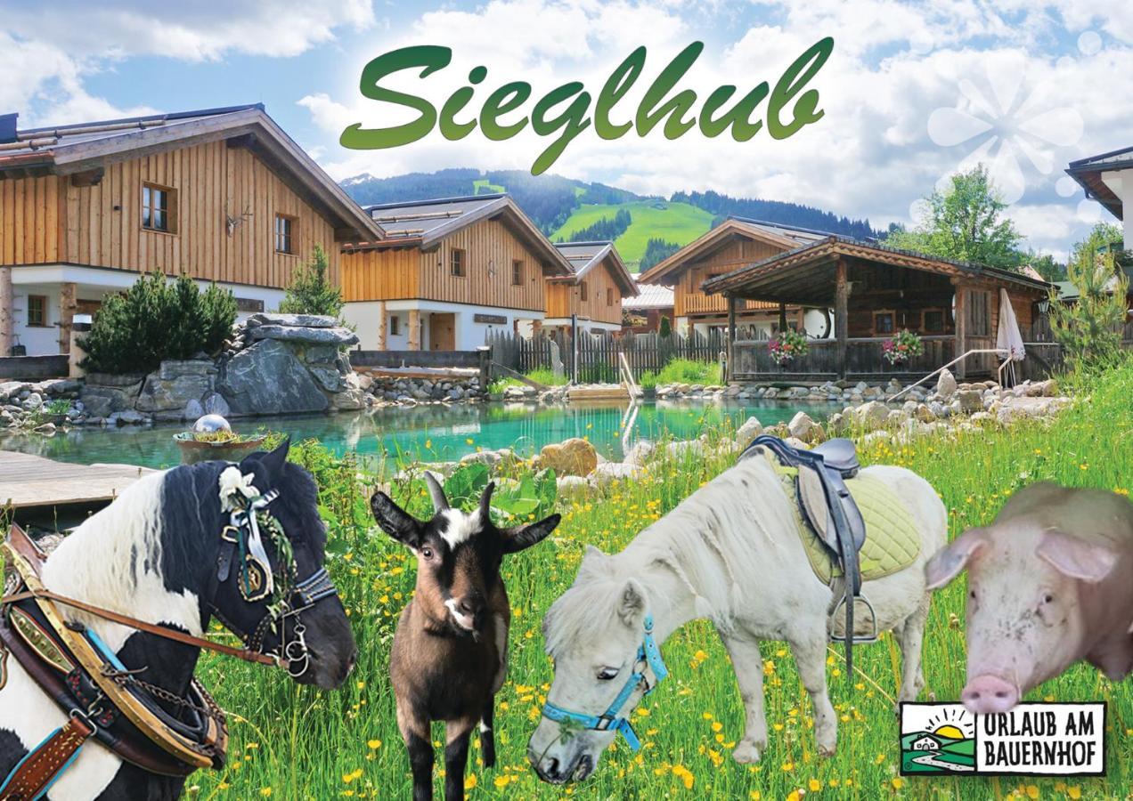Sieglhub Chalets - Appartements - Hotel Flachau Zewnętrze zdjęcie